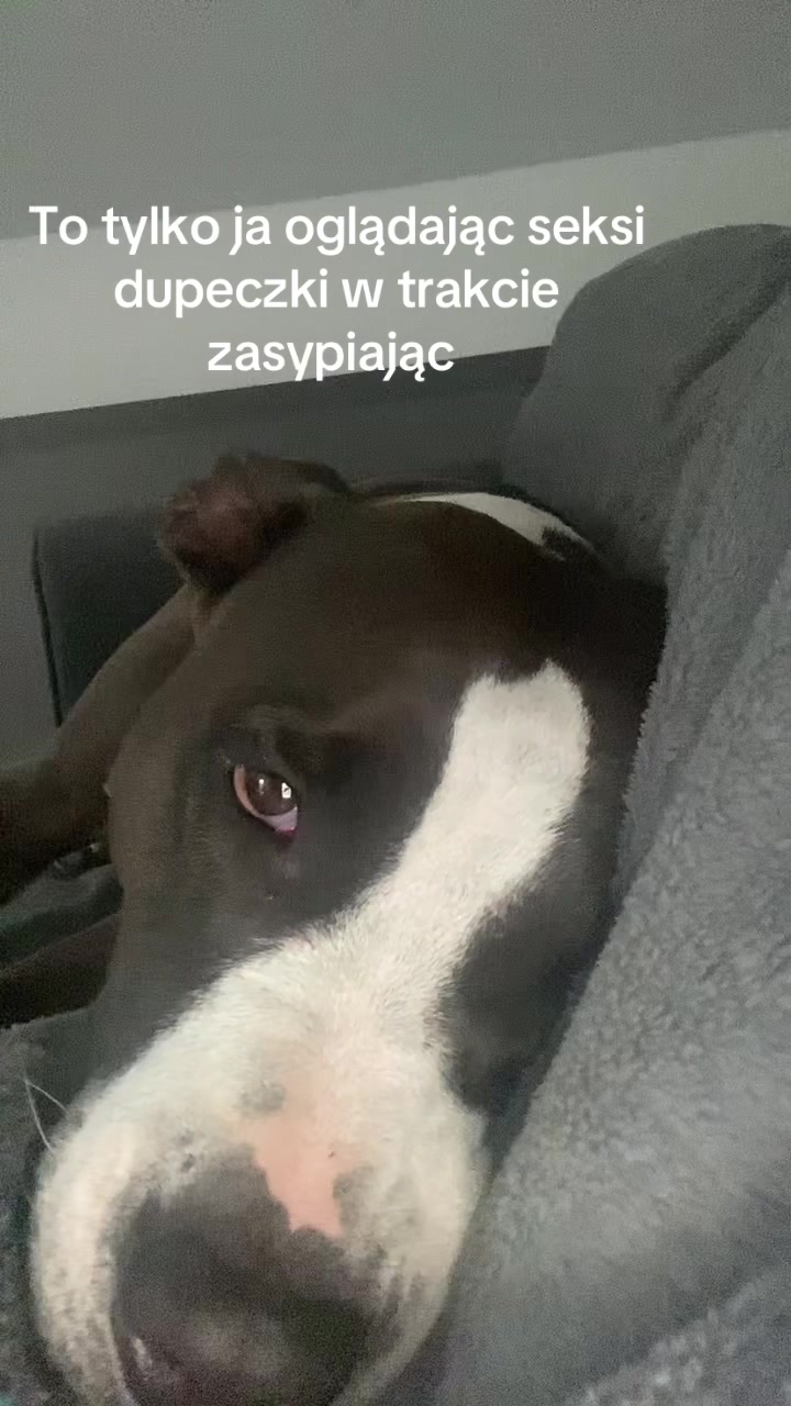 @happy_petsitterka