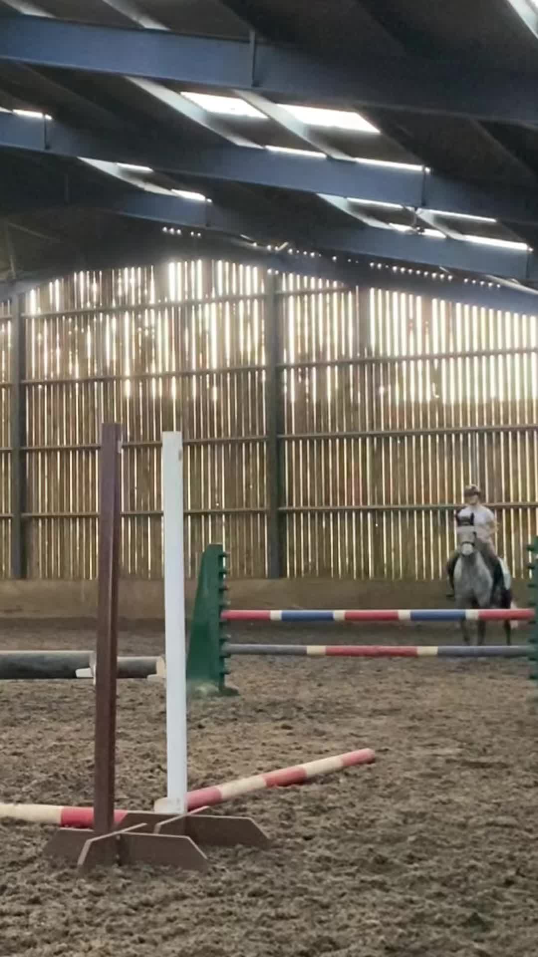 @bella_mccarthy.sj