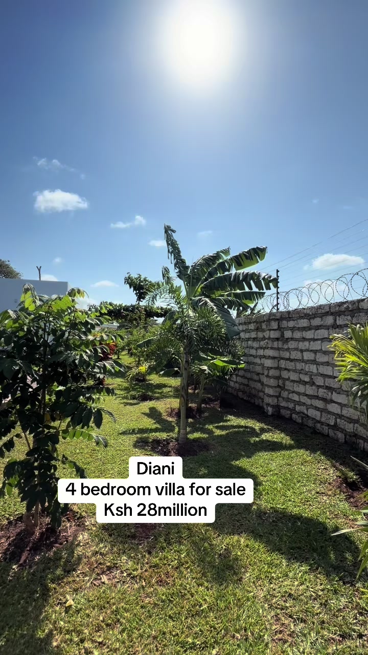 @Musilli homes