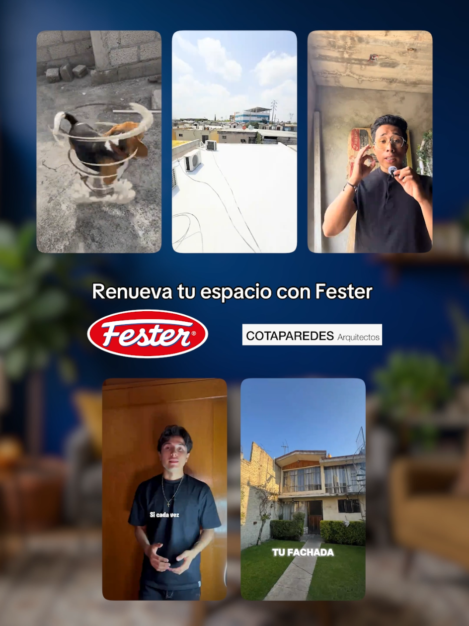 @Fester