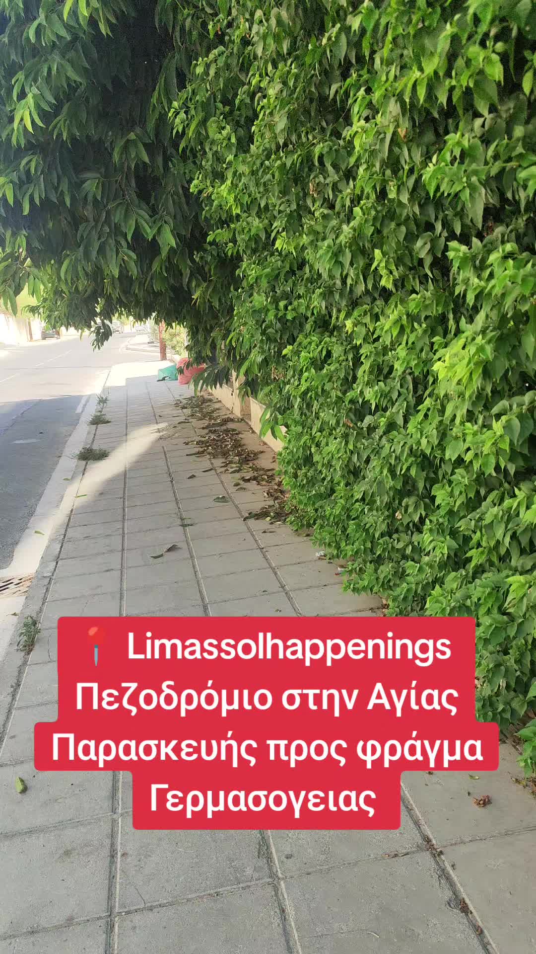 @📍Limassol Happenings