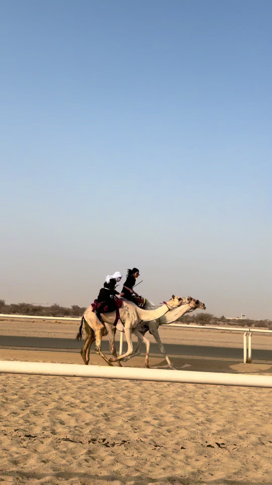 @سمو العجمي 🤪