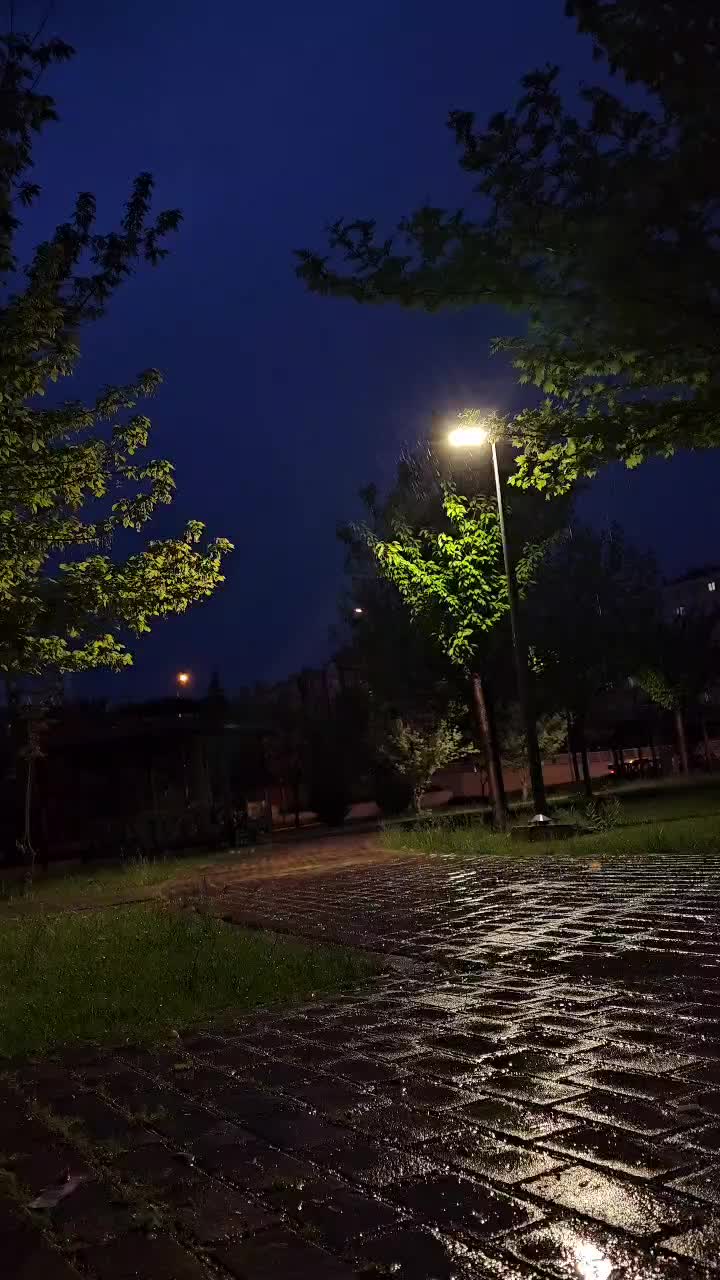 @🦋