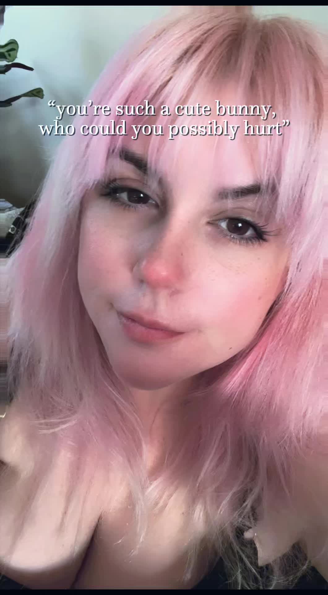 @momoneko666