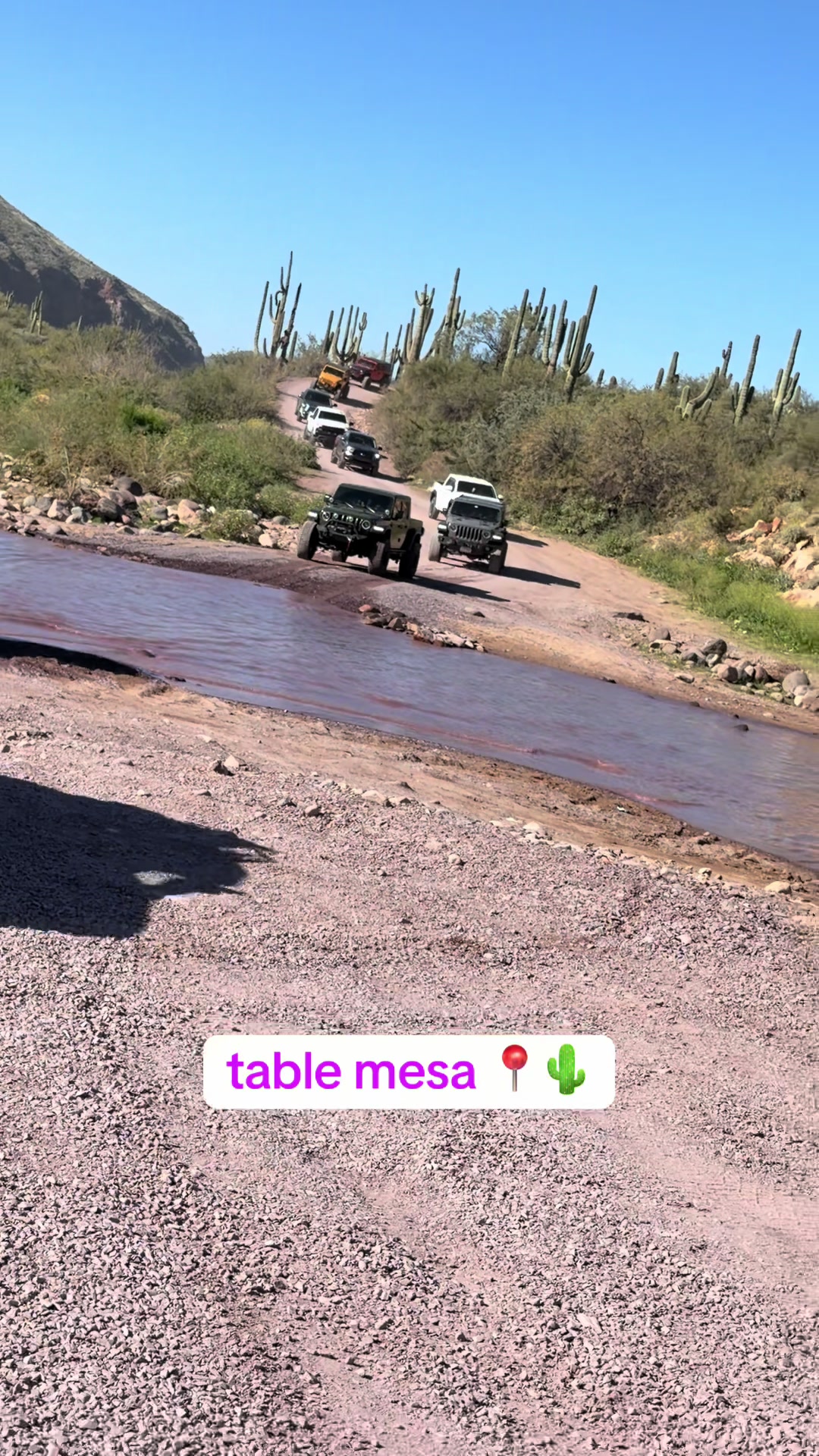 @David explore Arizona 🌲🎣