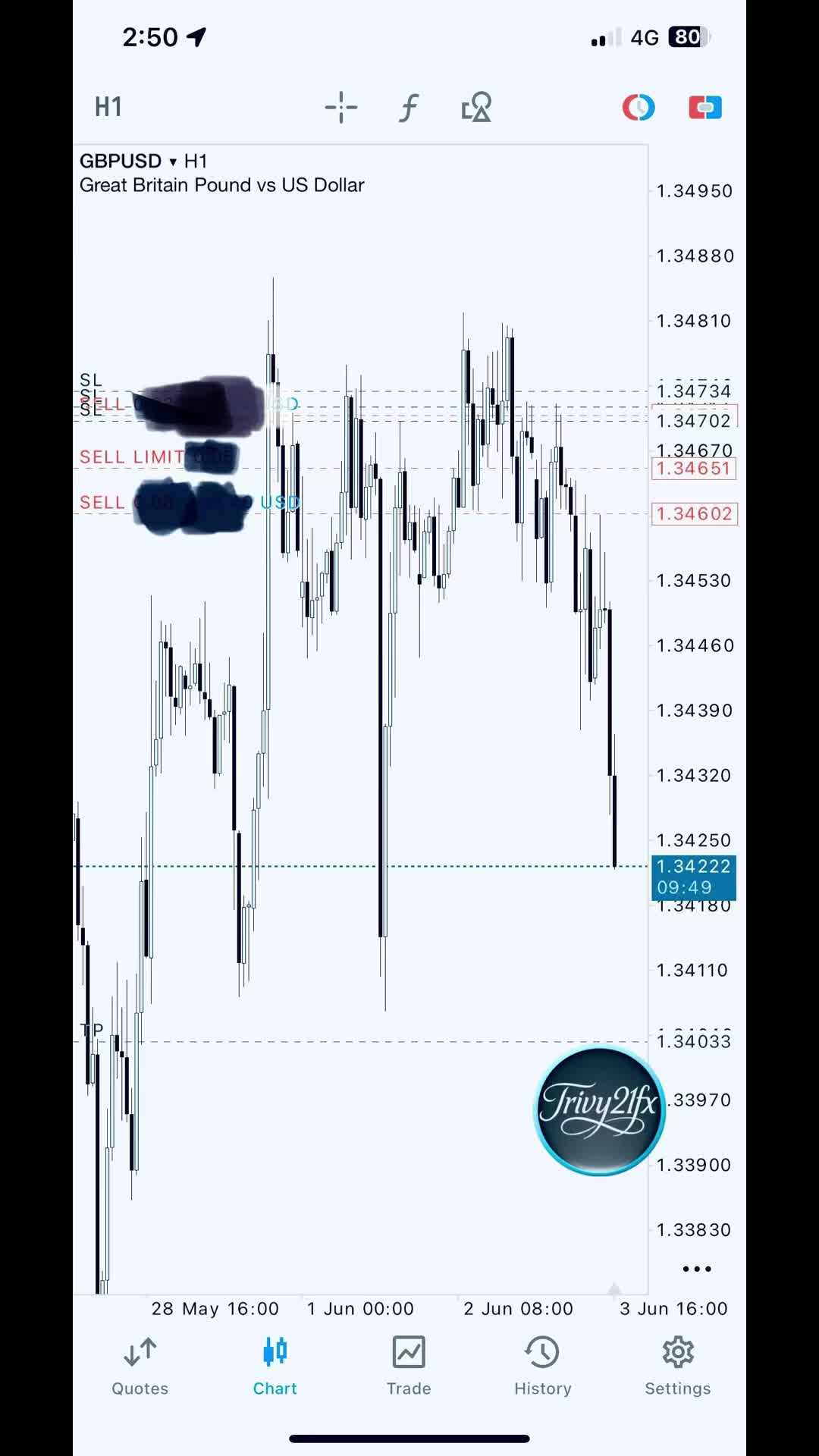 @Trivy21fx