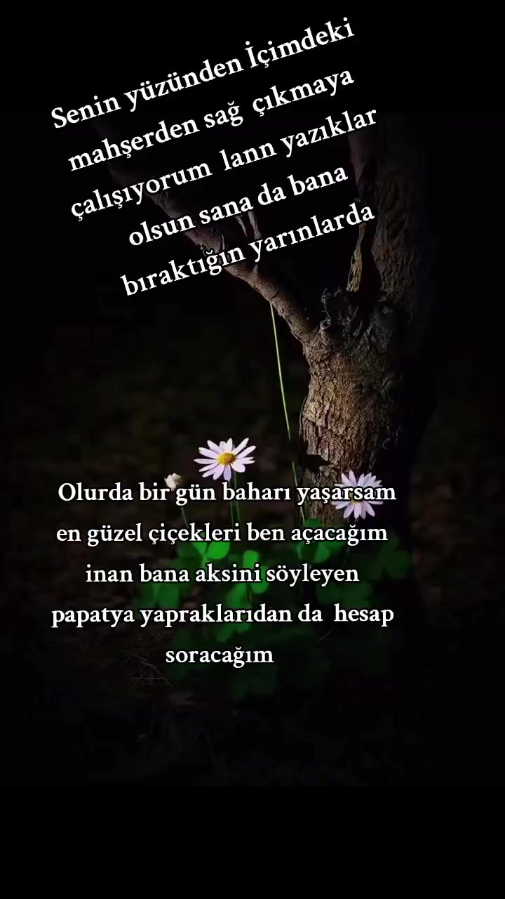 @๐น๐ท. YALINIZ ADAM ๐น๐ท