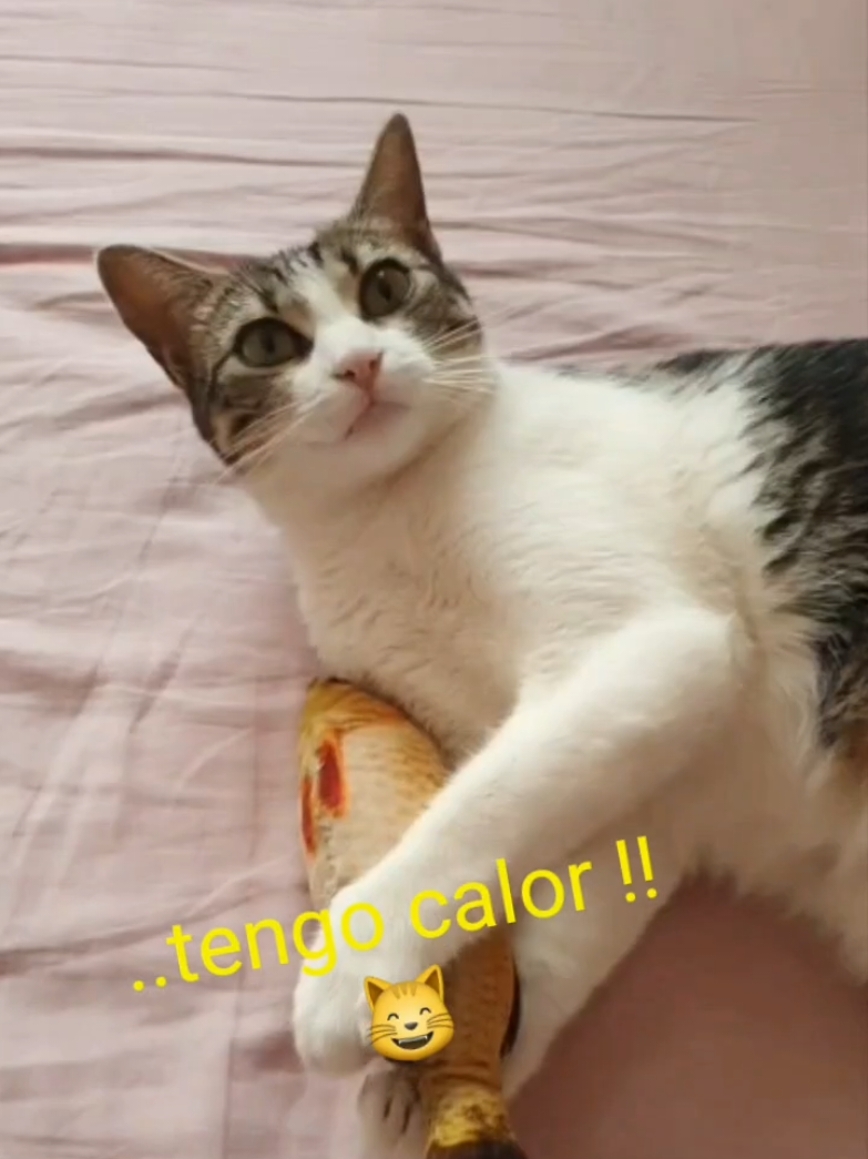 @nikii
