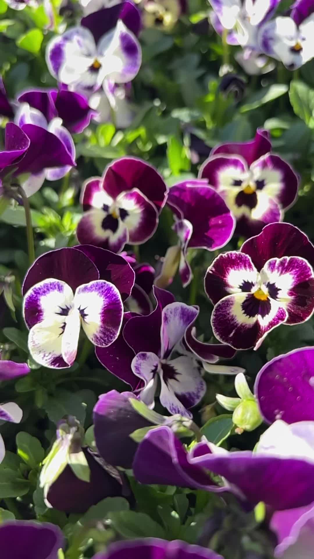 @Nature in Norway