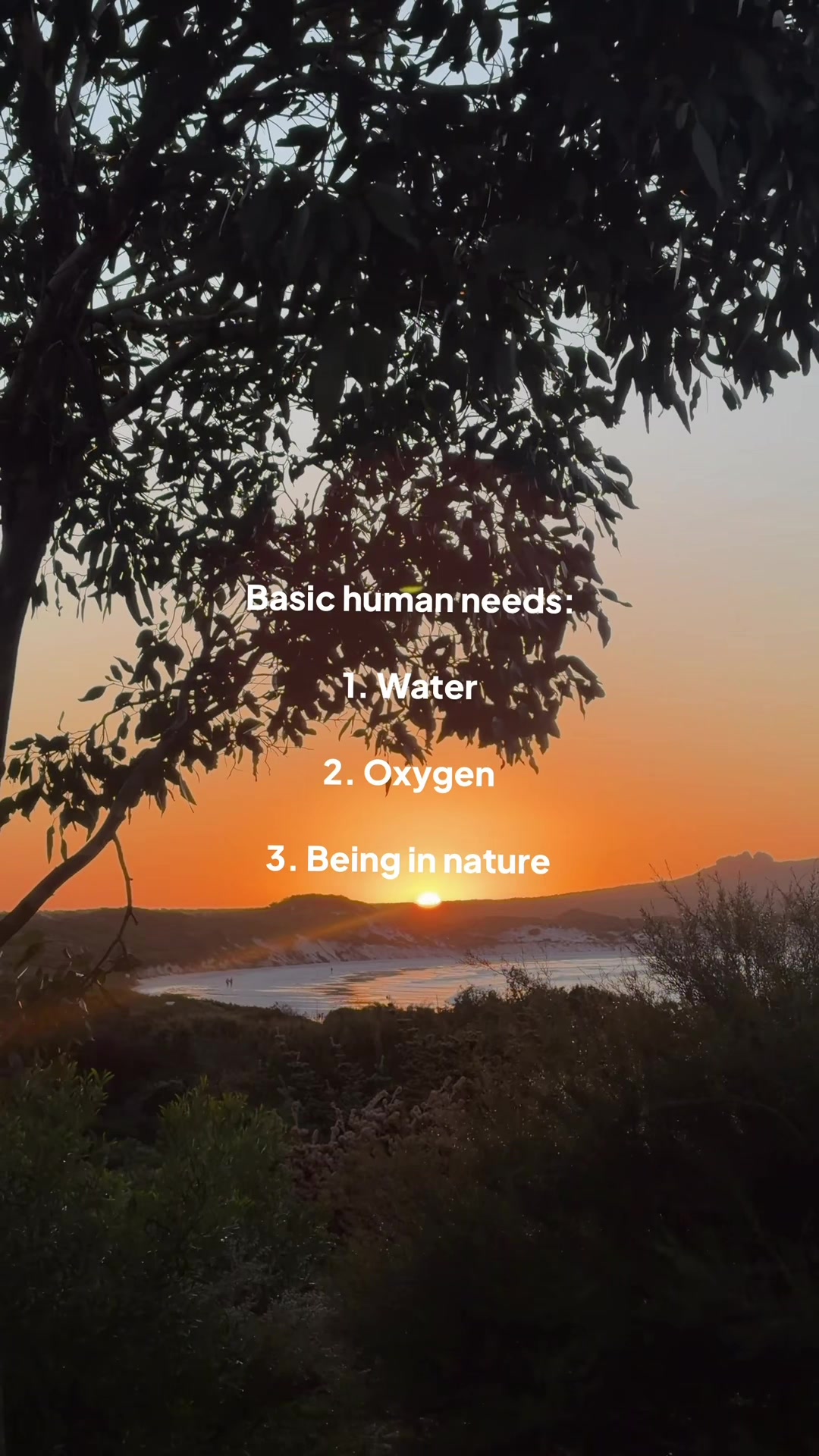 @Eleanor 𖦹 hiking & camping