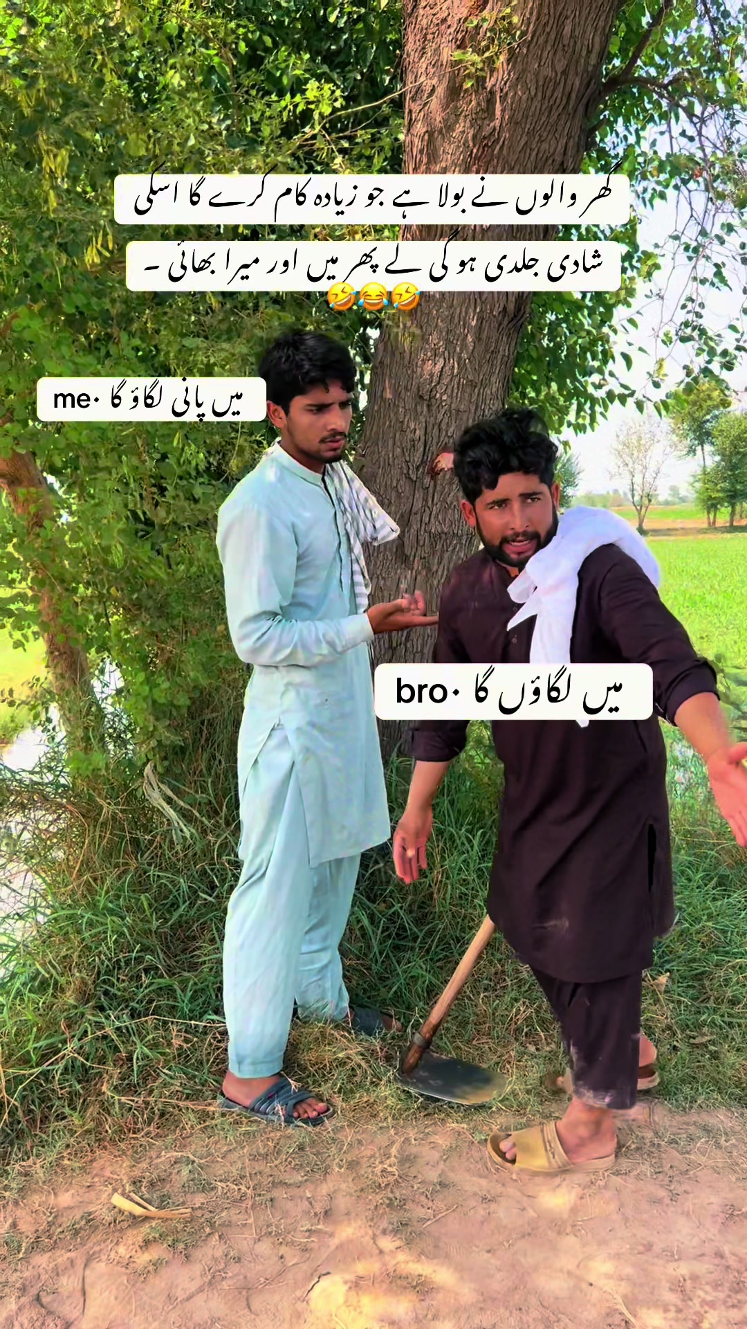 @پینڈو بوائز 378