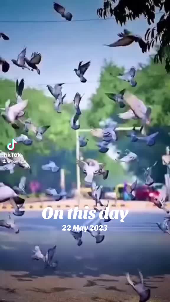 @Bharat Amlani