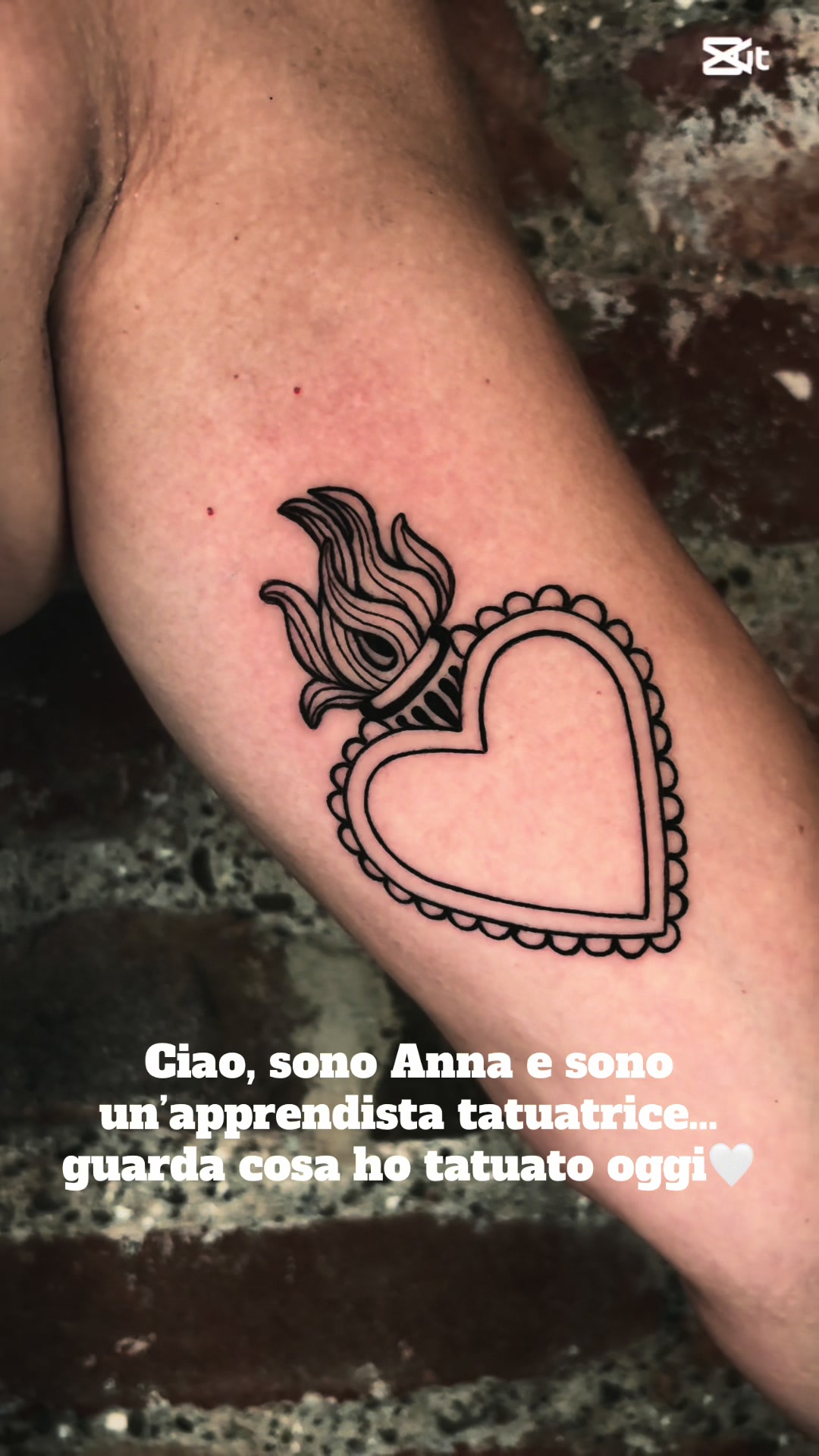 @anna lanzalotti