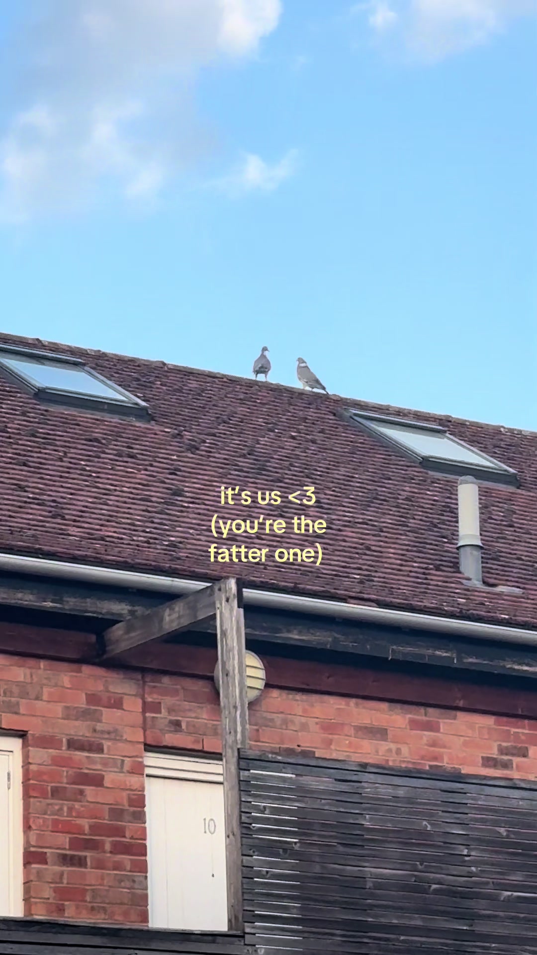 @go.wiv.the.flo