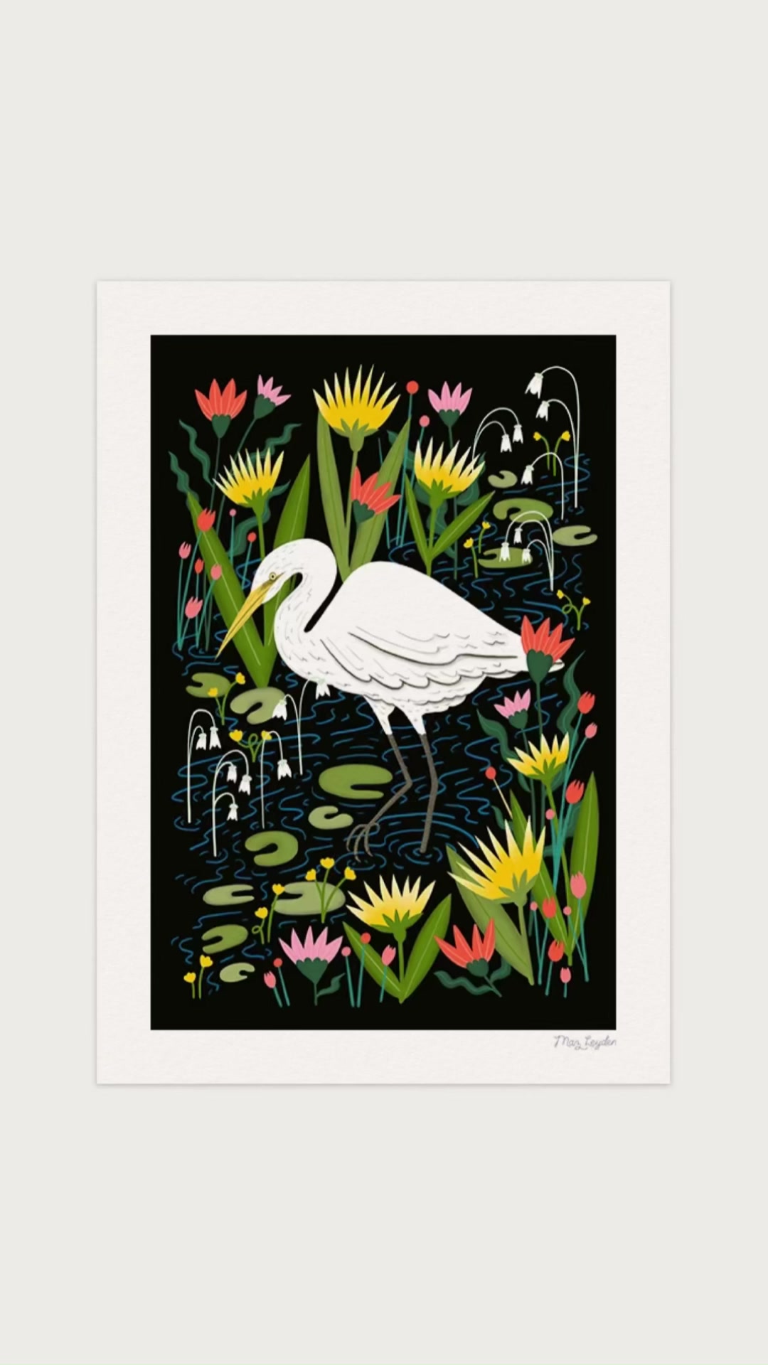 @Maz Leyden | Illustrator