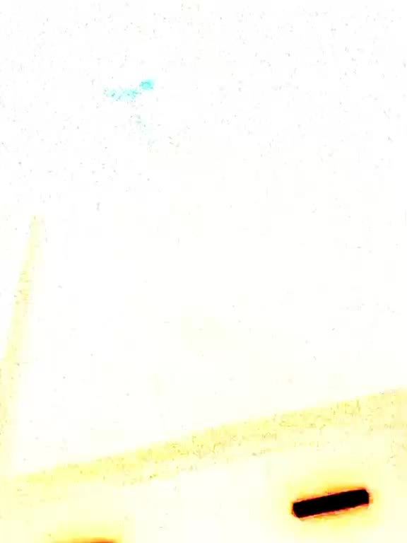 @Chekkis.jr