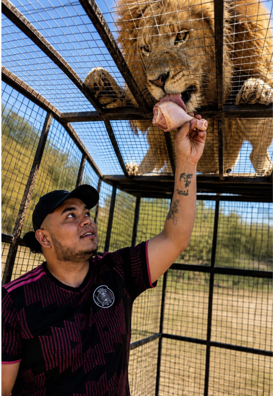 @Jair Herrera 🐆