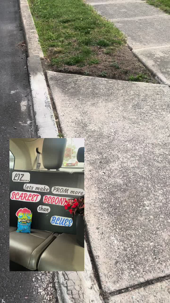 @🦕iz