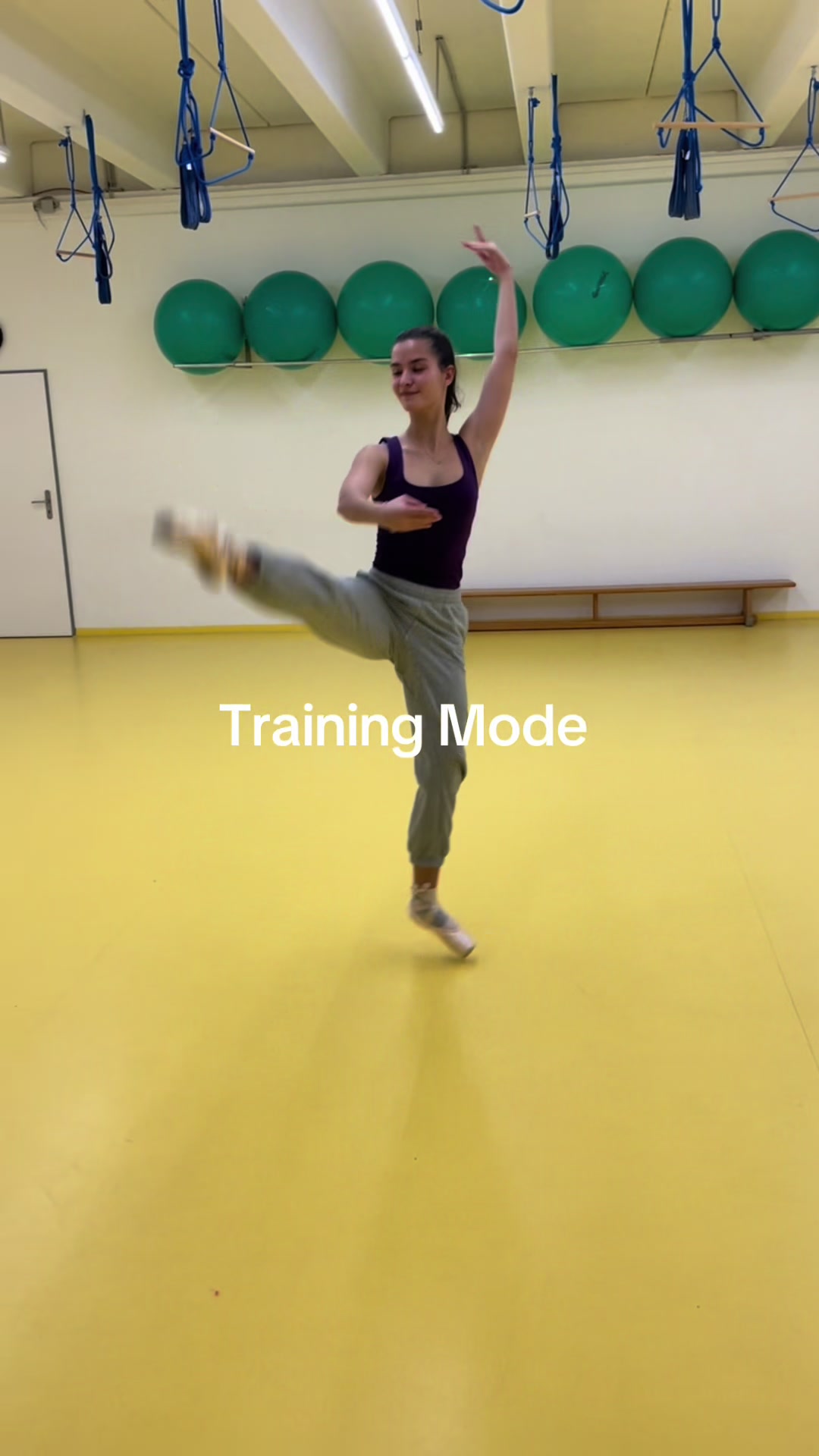 @dancevilleballett