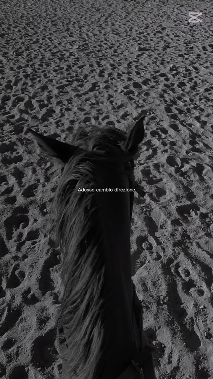 @Alexa💫