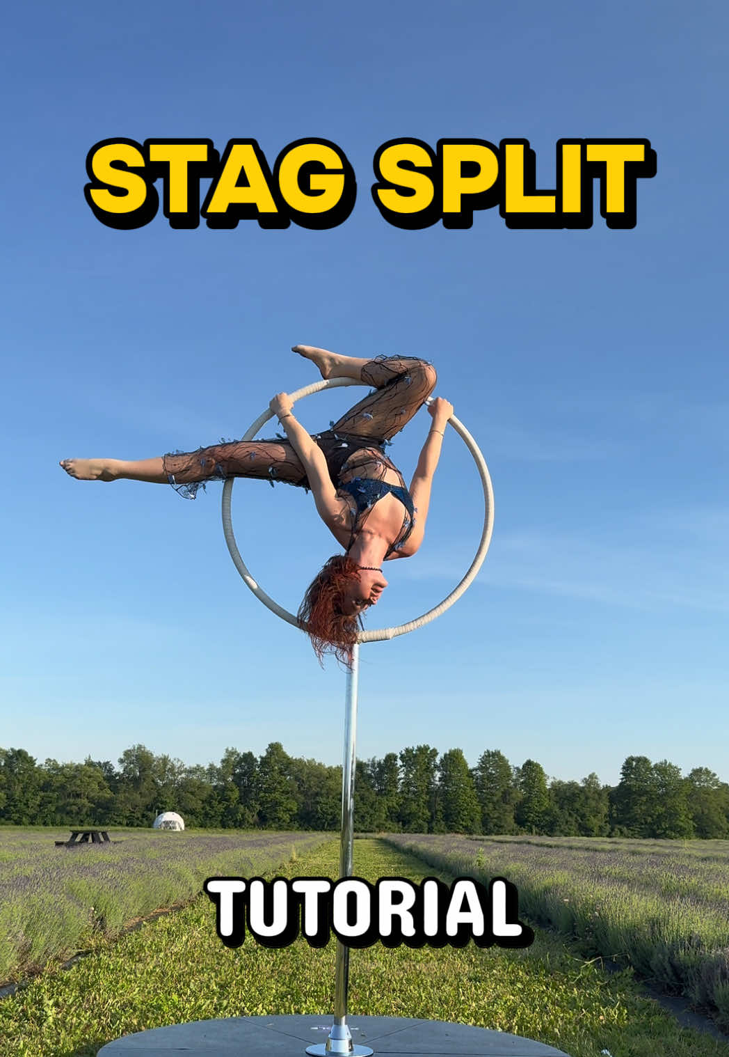 @Julia Spellman | Pole & Aerial
