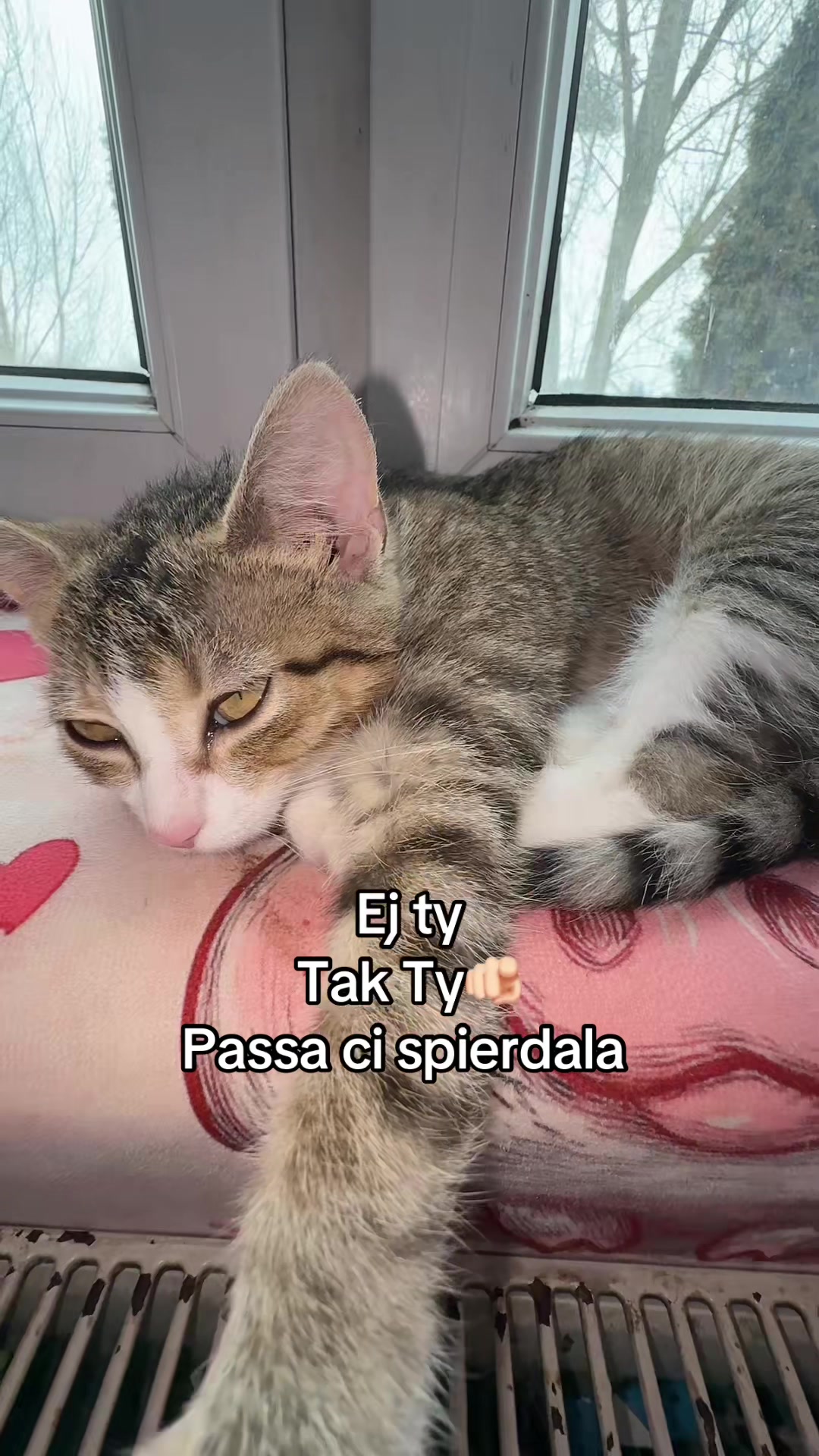 @Nikola🩷