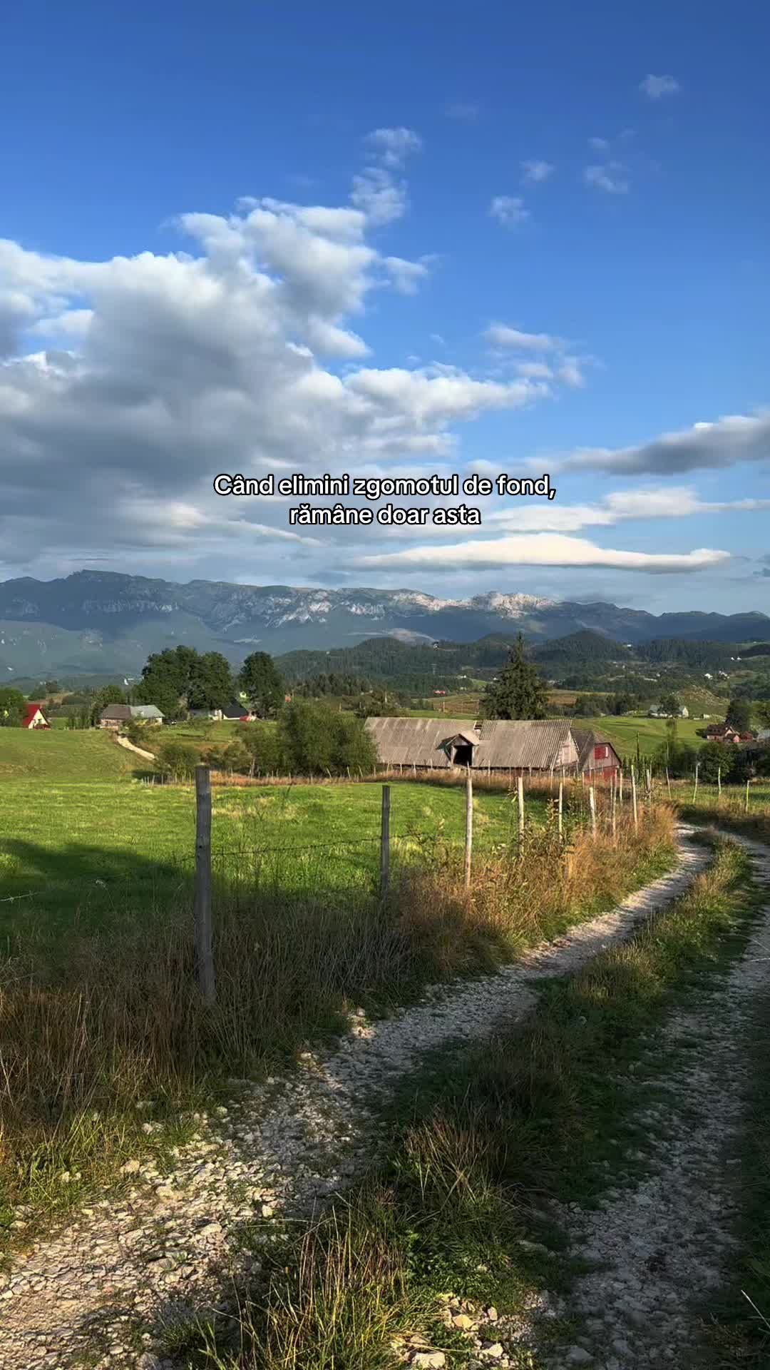 @Strajerii Verzi