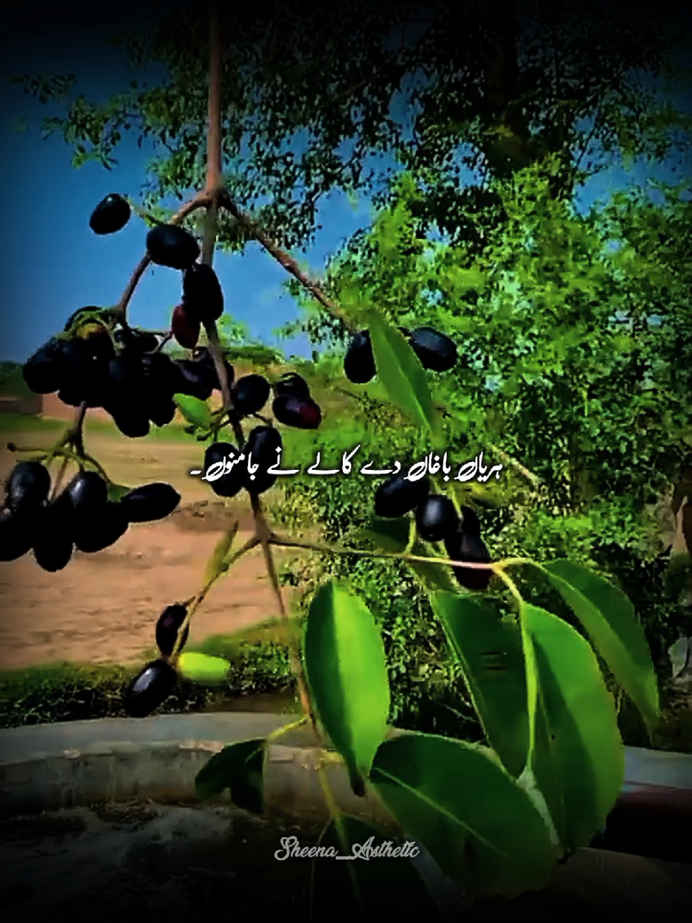 @💞𝓘𝓽𝔁.𝓒𝓪𝓽𝓸💞