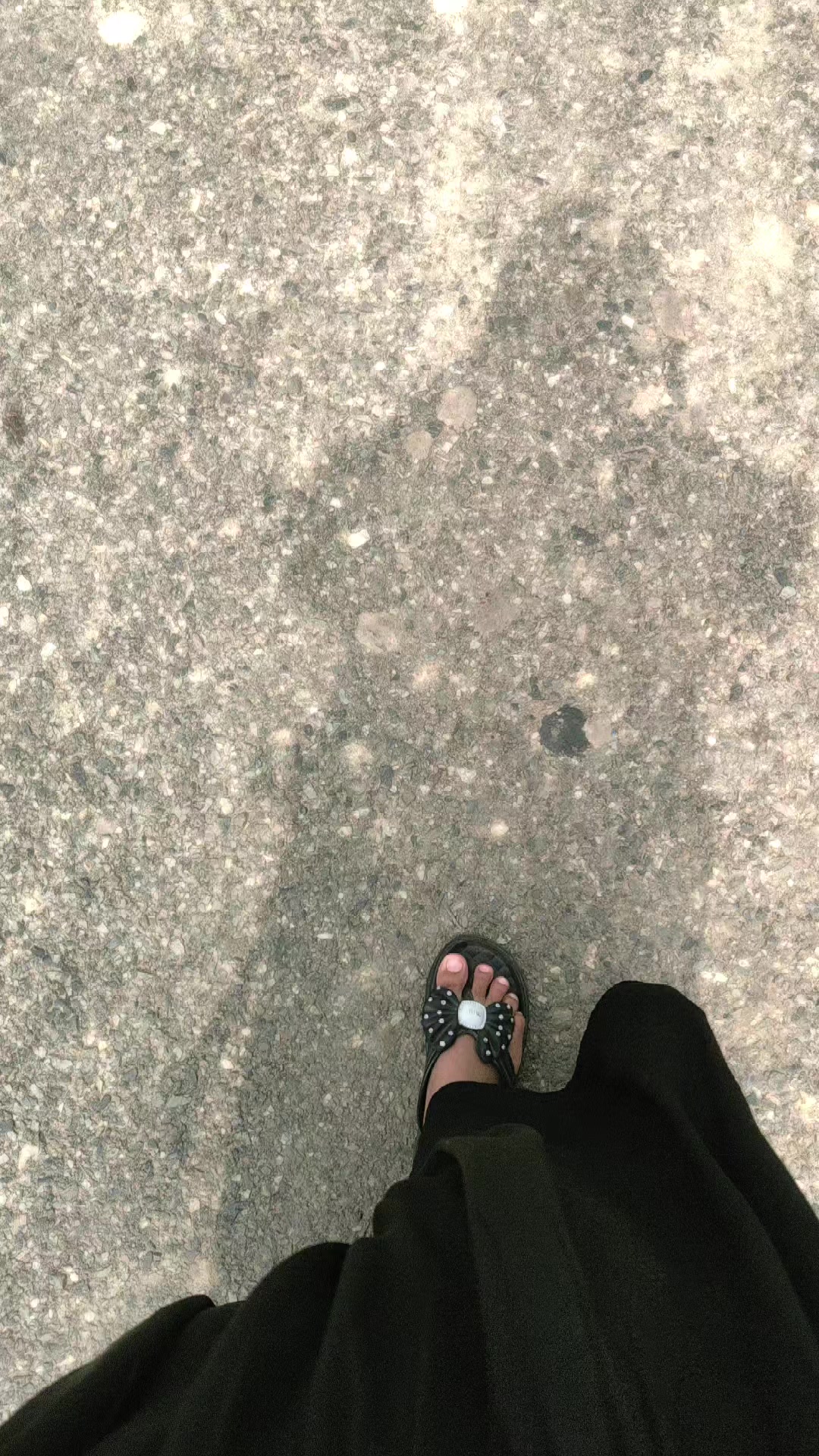 @~🦋টমেটো🦋~