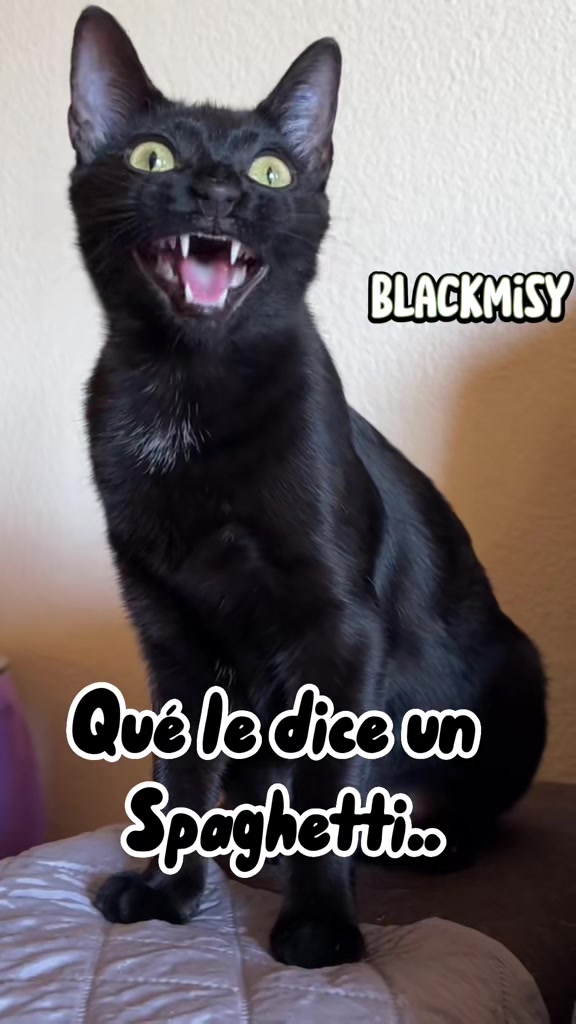 @BlackMisy