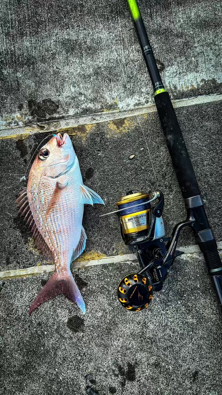 @Taqi Fishing