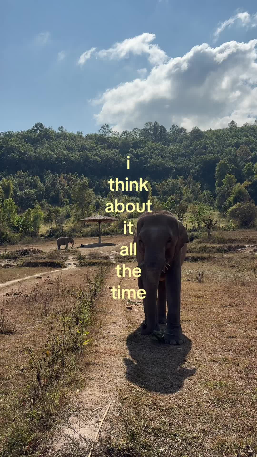 @maria