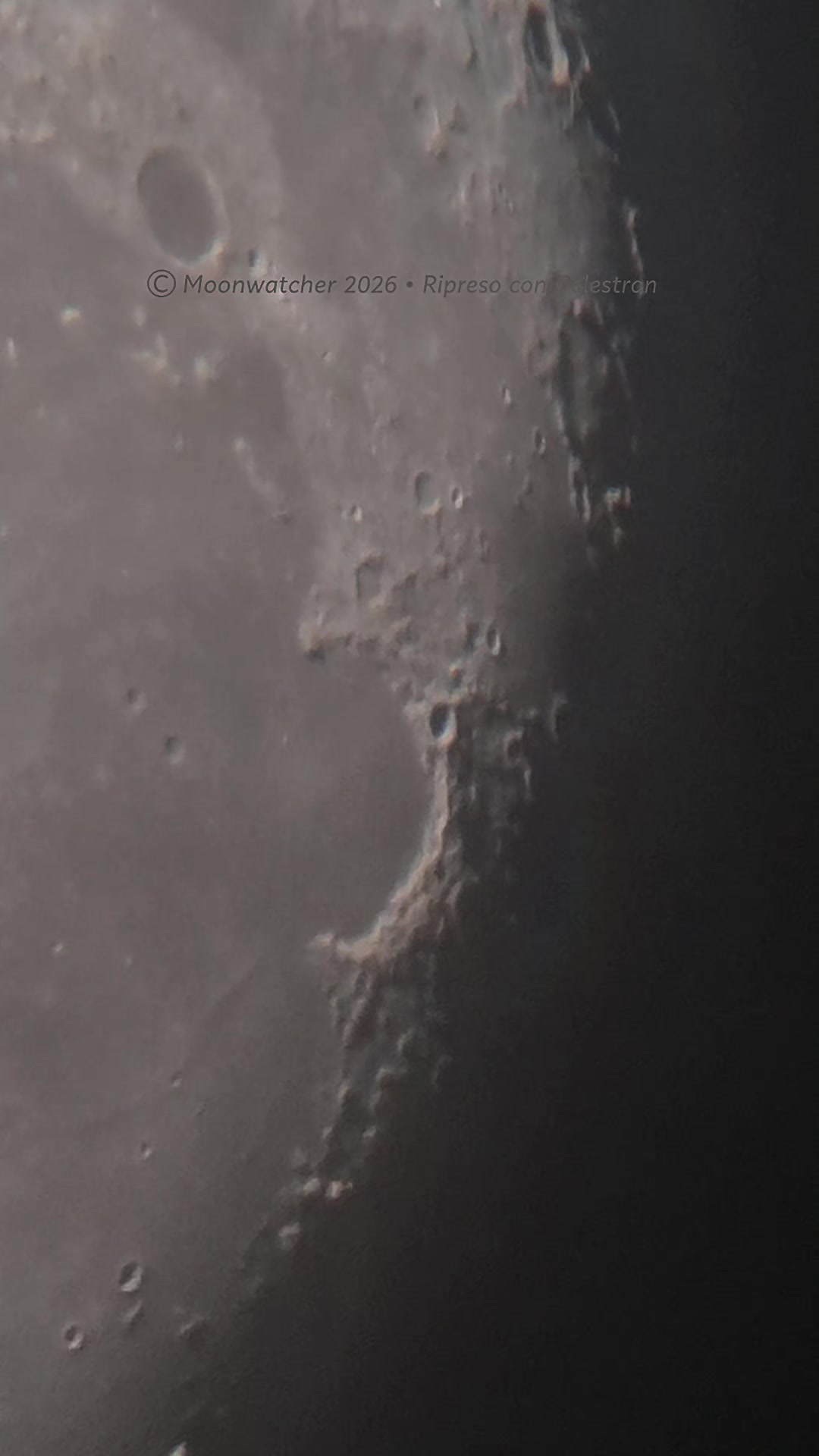 @Moonwatcher