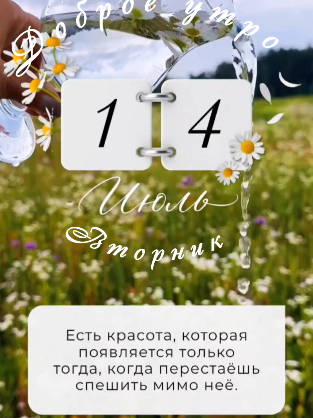 @Ирина goodmorning