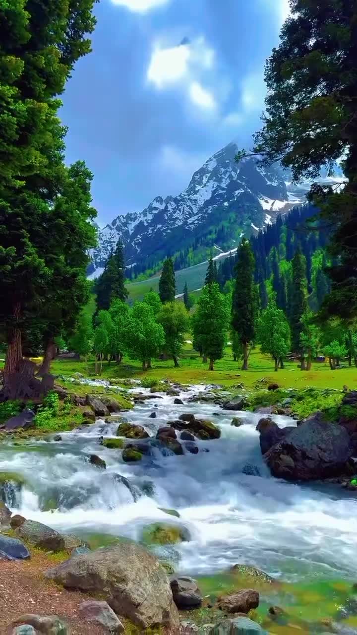 @💞 Life .-.-. EnGoy 💞