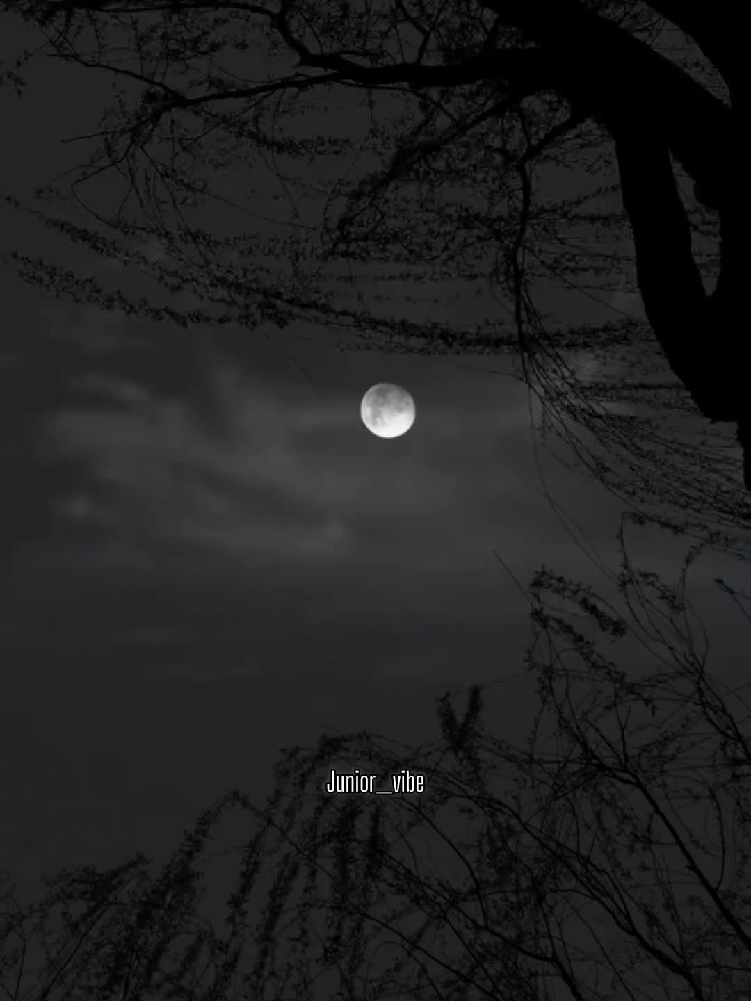 @๐
๐๐๐ ๐ ๐ผ๐๐๐๐๐๐๐พ