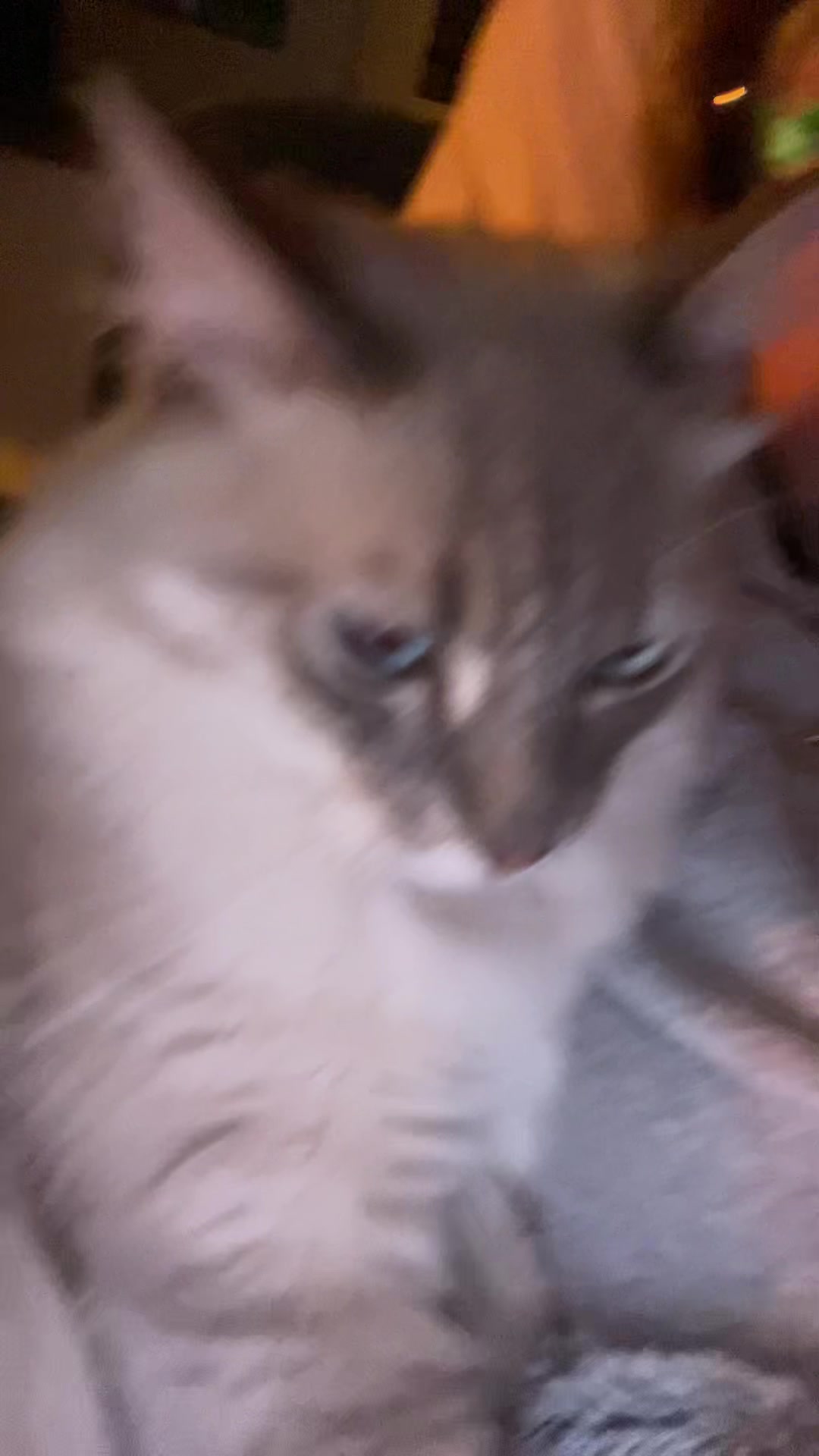 @JO