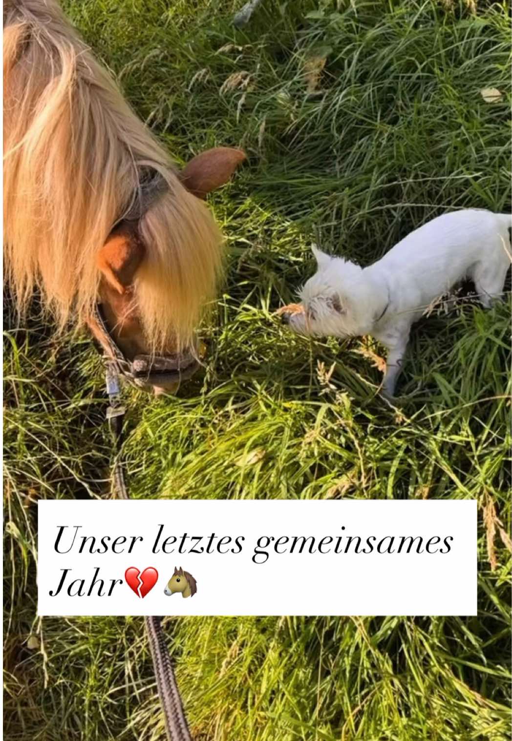 @carinaslifevlog