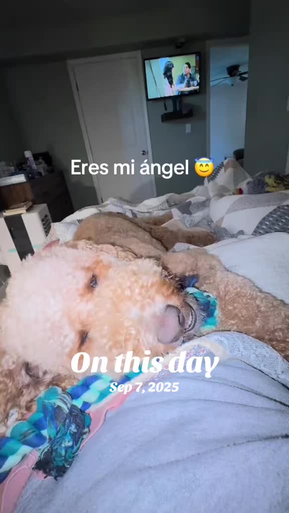 @Reyna y Churro 🐶😍