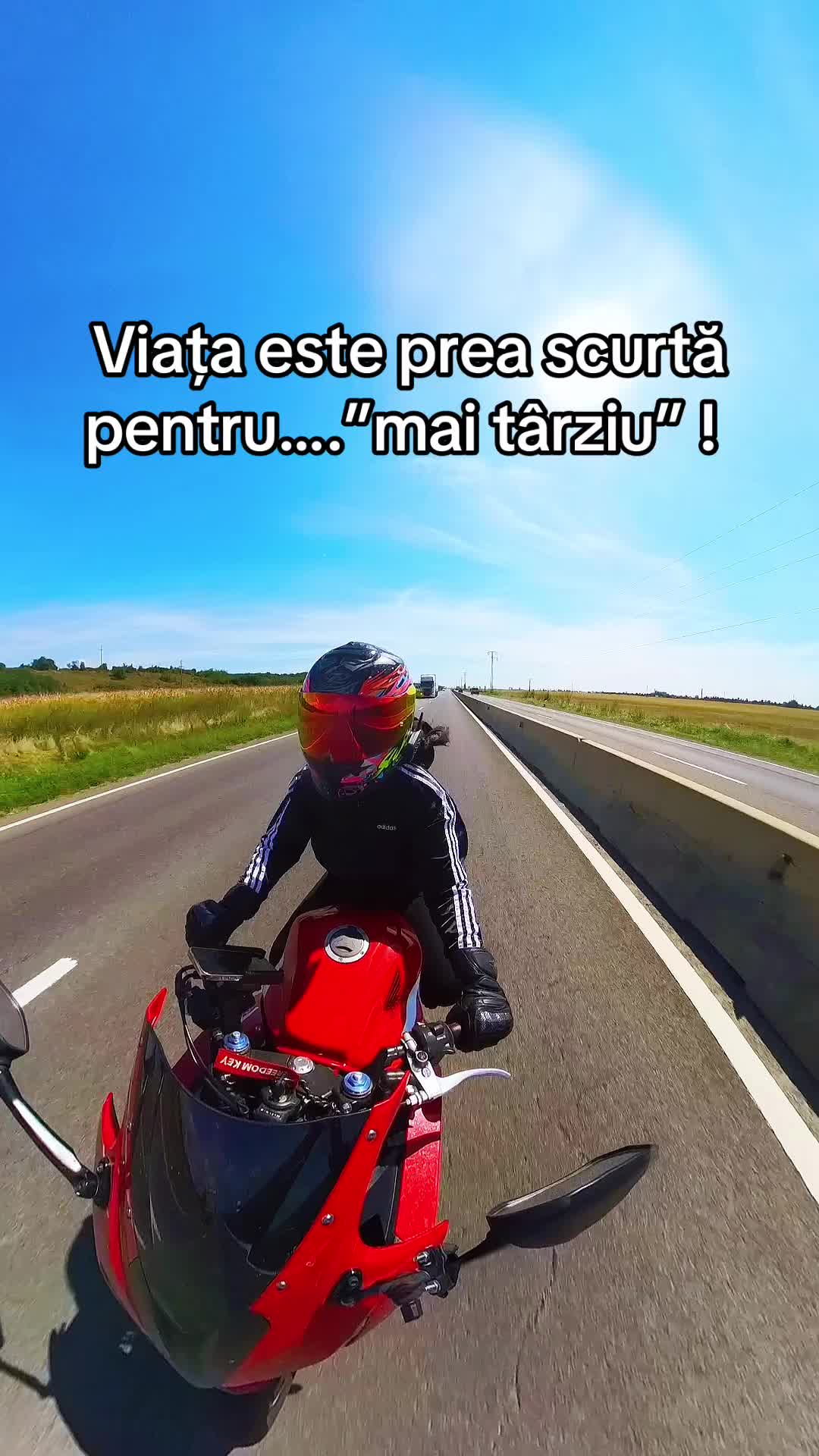 @Daniela Delia Didi