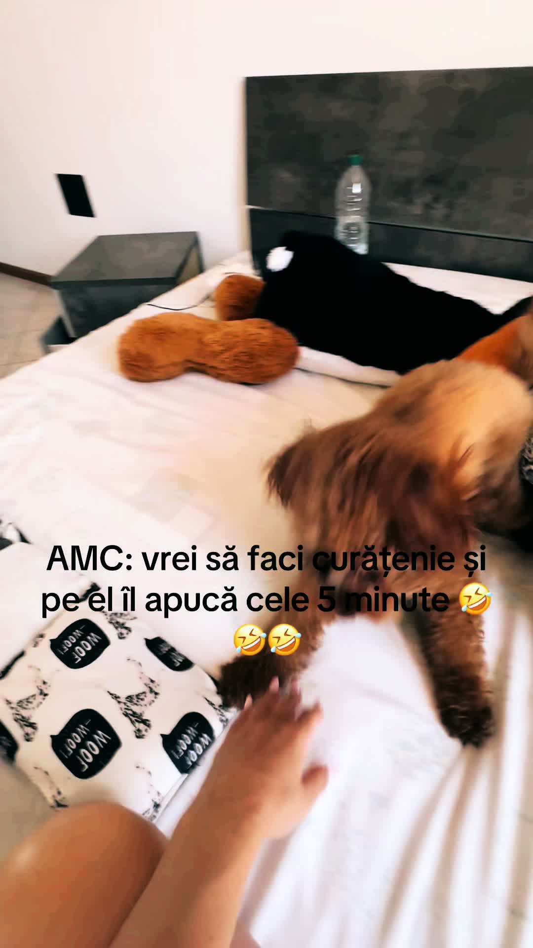@Irina🫀