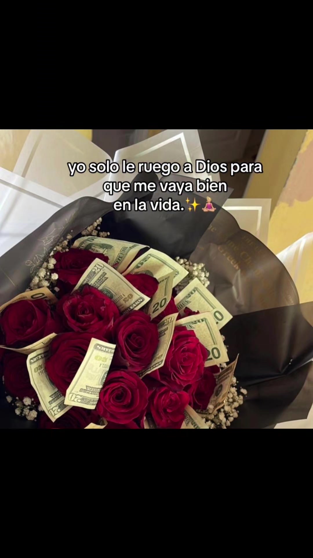 @lunazapata163