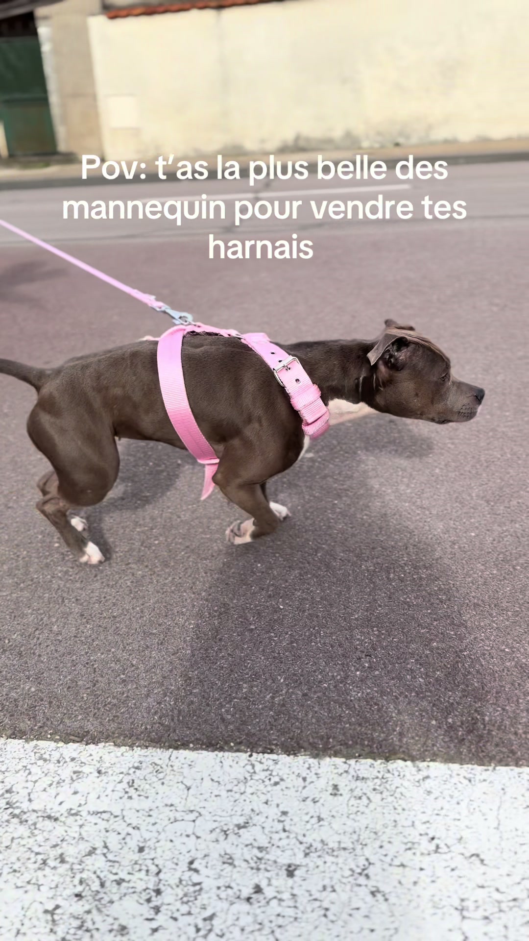 @kiara_isis_apbt