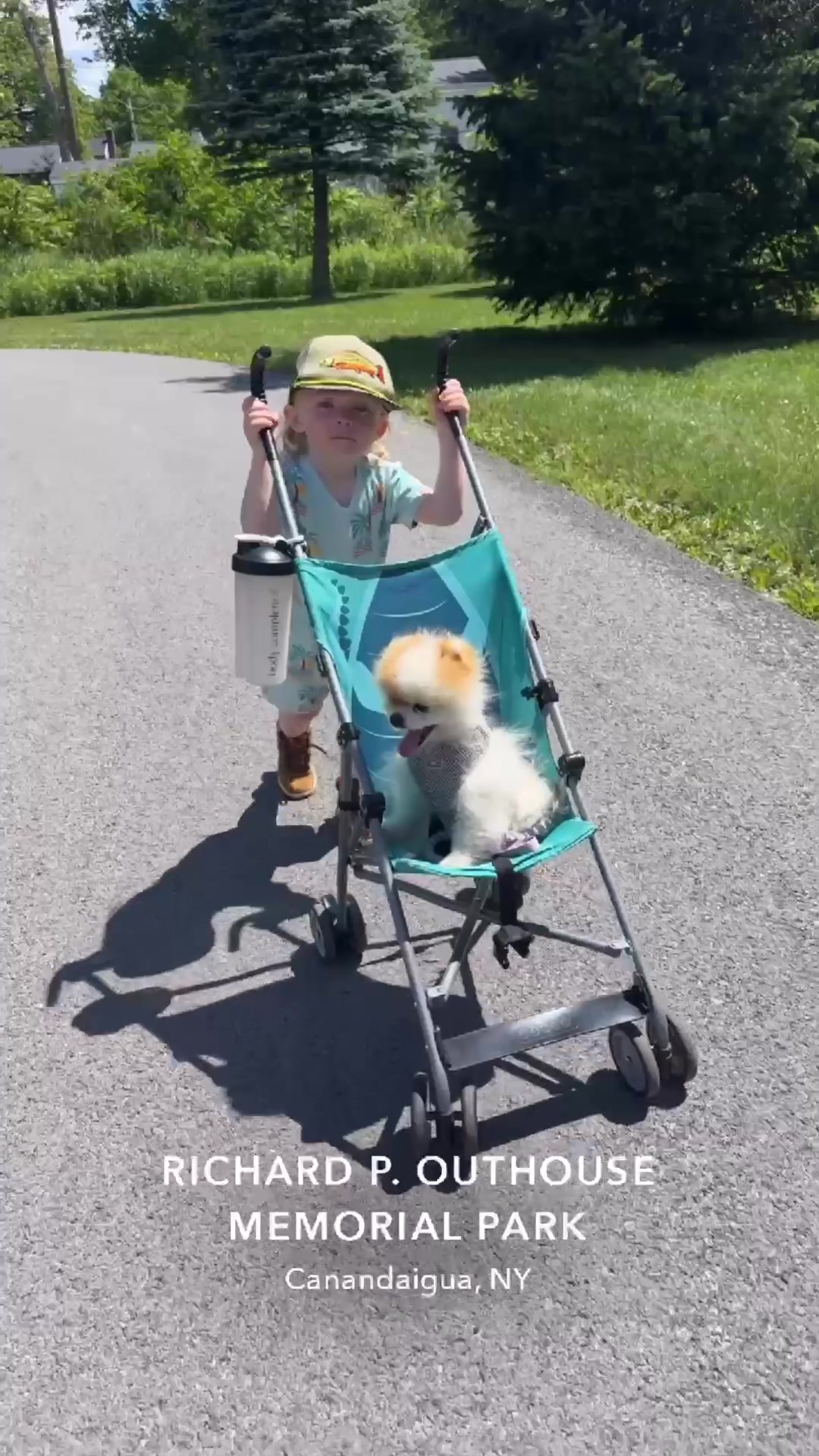 @Fingerlakes Pomeranians