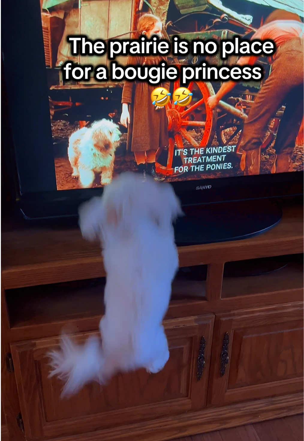 @Life with Leia