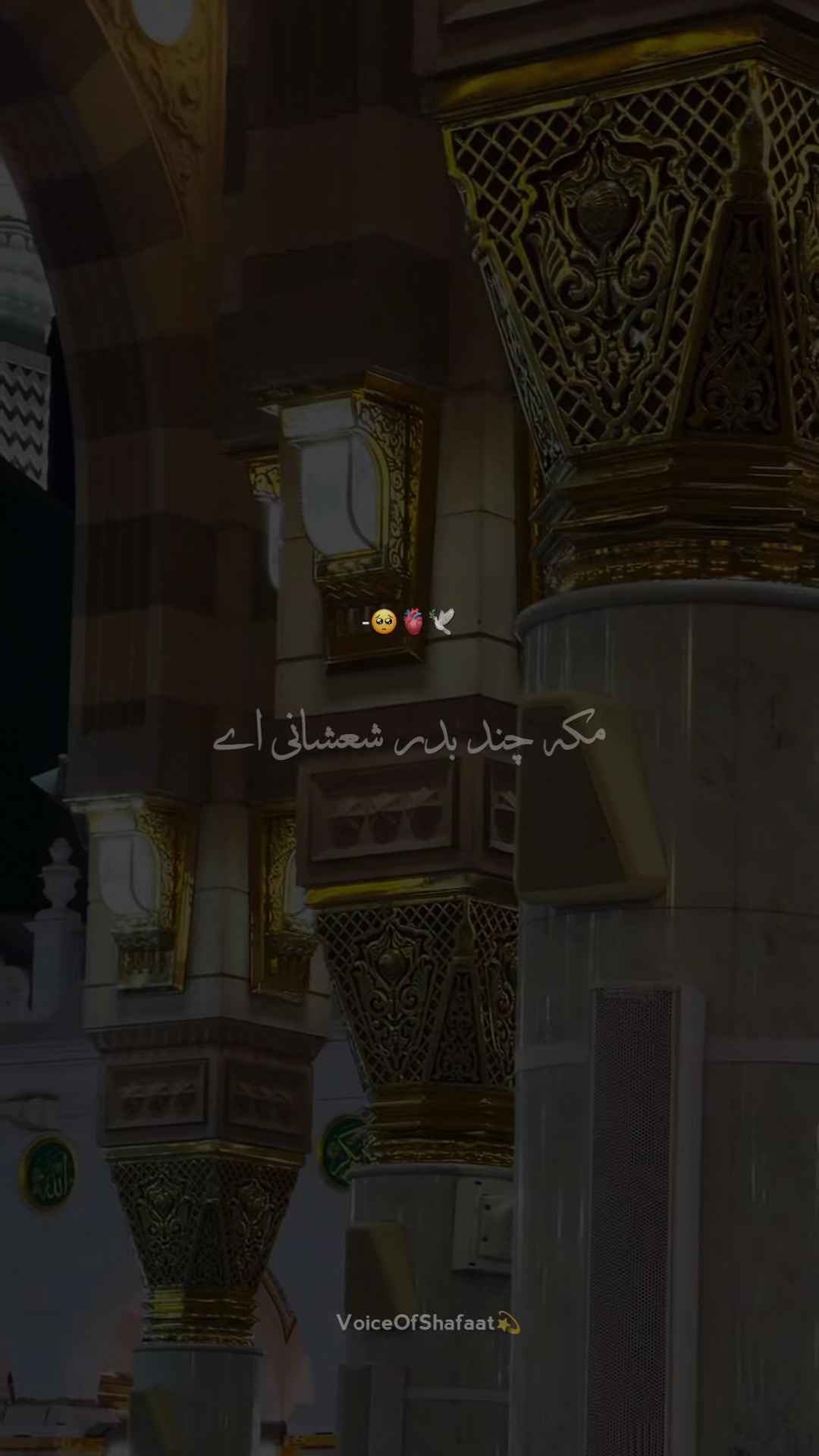 @VoiceOfShafaat💫