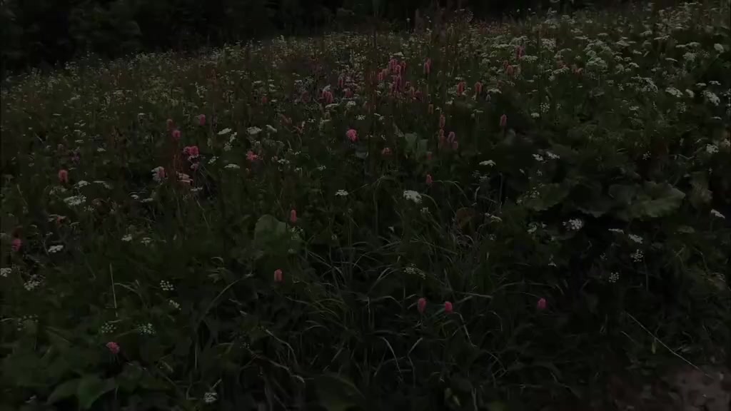 @Aesthetic Vibes
