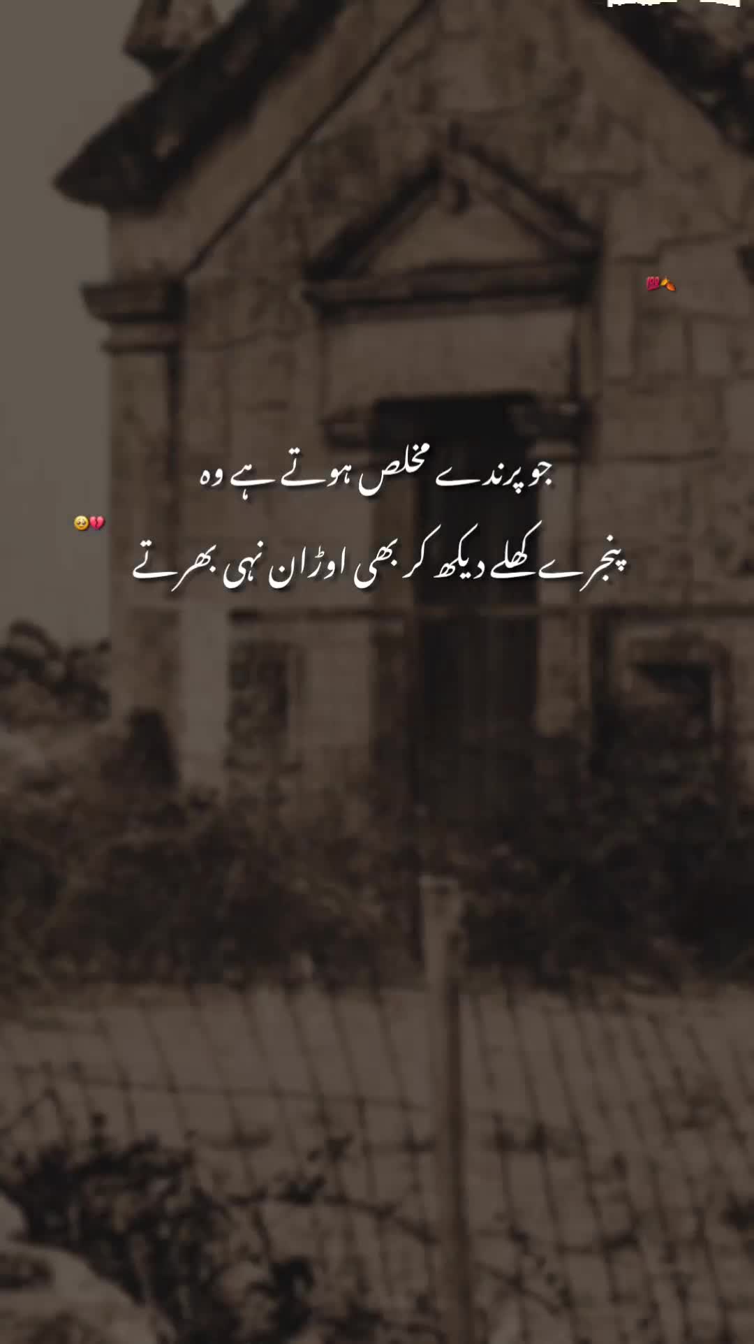 @𝘼𝙮𝙖𝙣♠