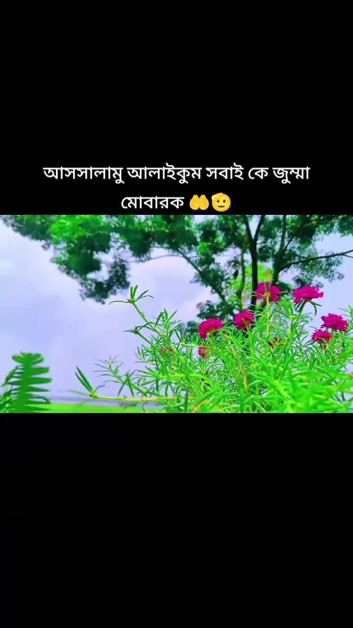 @md  Sofik1234