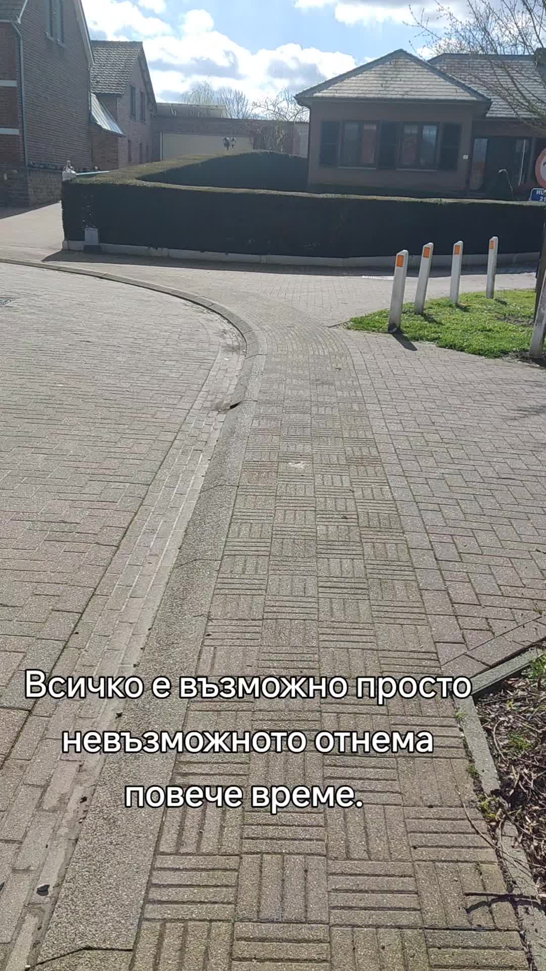 @Bari